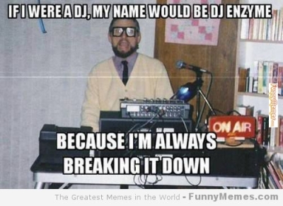 DJ ENZYME